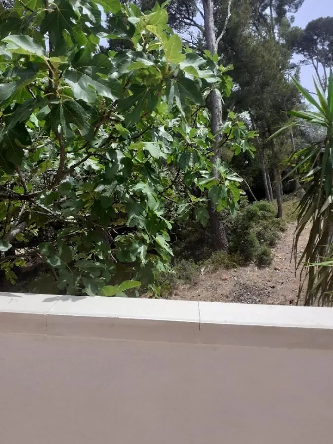 Les Cigales Villa Hyères 0*,